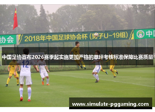 中国足协宣布2026赛季起实施更加严格的草坪考核标准保障比赛质量 中国足协宣布2026赛季起实施更加严格的草坪考核标准保障比赛质量