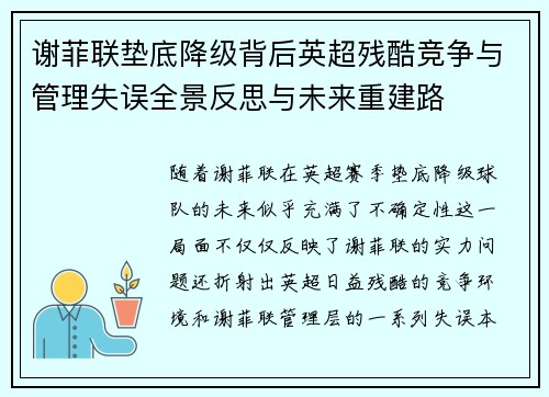 谢菲联垫底降级背后英超残酷竞争与管理失误全景反思与未来重建路 谢菲联垫底降级背后英超残酷竞争与管理失误全景反思与未来重建路