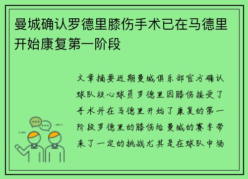 曼城确认罗德里膝伤手术已在马德里开始康复第一阶段 曼城确认罗德里膝伤手术已在马德里开始康复第一阶段